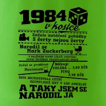 1984 v kostce