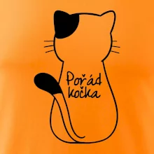 Pořád kočka
