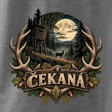 Čekaná za měsíční noci s jelenem