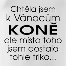 Chtěla jsem k Vánocům koně Chtěla jsem k Vánocům koně