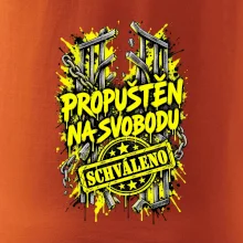 PROPUŠTĚN NA SVOBODU