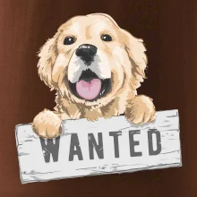 Zlatý retriever - štěně wanted