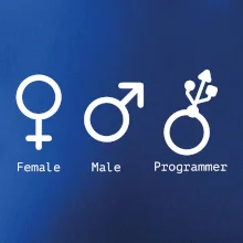Female male programmer