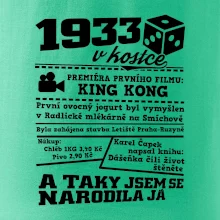 1933 v kostce