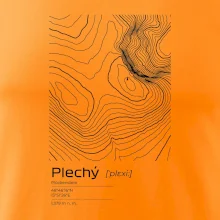 Plechý - vrstevnice v obdélníku