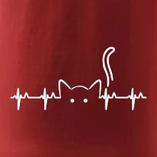 Kočka EKG
