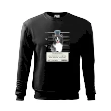 Lump a darebák border kolie