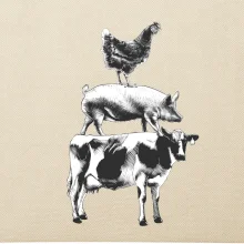 Slípka prase kravka