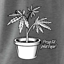 Konopi prostě pěstuju