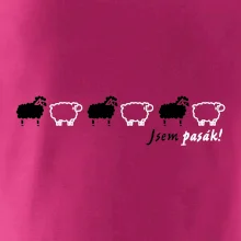 Jsem pasák - ovce v řadě