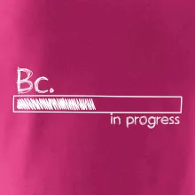 In progress  titul Bc. bakalář / bakalářka