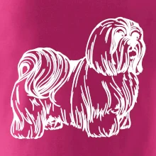 Shih-tzu - chlupatý