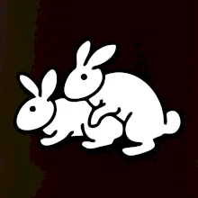 Dupající králící