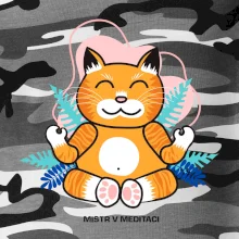 Kočka - mistr v meditaci (Pecka design)