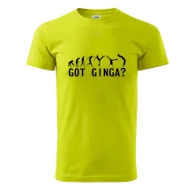 Capoeira - Got Ginga Capoeira - Got Ginga