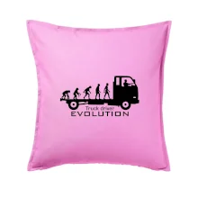 Truck driver evolution