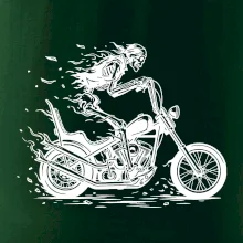 Chopper kostra