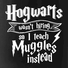 Harry - Hogwarts wasn’t hiring, so I teach Muggles instead