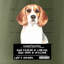 Lump a darebák bígl