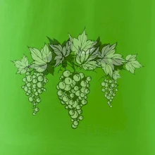 Vinné hrozny šedé