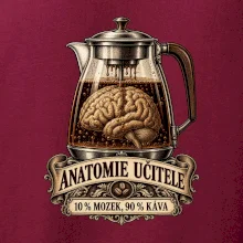 Anatomie učitele deset procent mozek devadesát káva