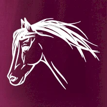 Kůň - hlava celá