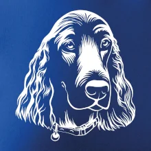 Kokršpaněl - hlava kreslená