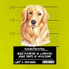 Lump a darebák zlatý retrívr