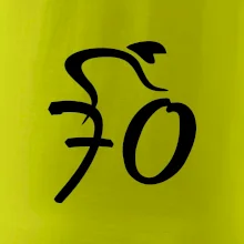 Cyklista slaví sedmdesátku (70)
