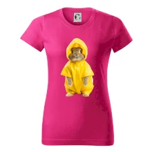 Králík v pláštěnce