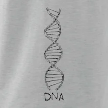 Cyklistovo DNA