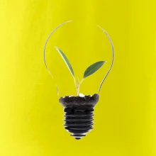 Žárovka květináč