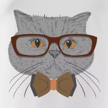 Hipster britská modrá Hipster britská modrá