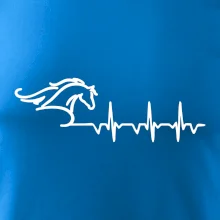 Hlava koně EKG