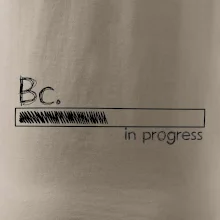 In progress  titul Bc. bakalář / bakalářka