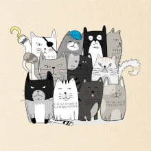 Kočky co nejsou tak úplně veselé