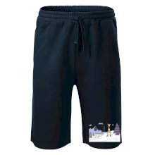 Panorama lyžování