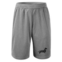 Jezevčík - Dachshund