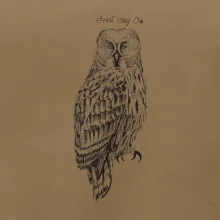 Puštík vousatý great gray owl