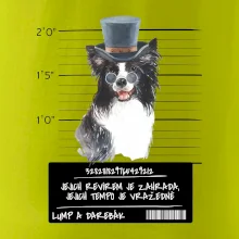 Lump a darebák border kolie