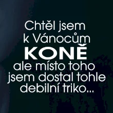 Chtěl jsem dostat k Vánocům koně