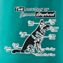 Německý ovčák - Anatomie