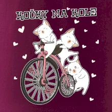 Kočky na kole
