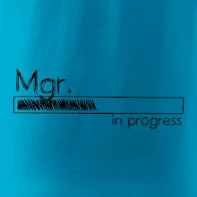 In progress titul Mgr.  magistr / magistra