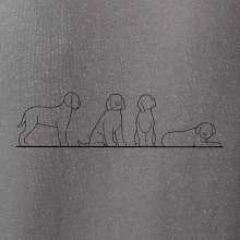 Lagotto romagnolo postavy linka