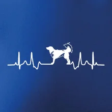 Český strakatý pes EKG