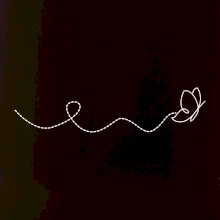 Dráha letu motýla - vlnovka