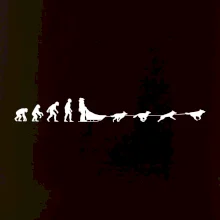 Evoluce psí spřežení