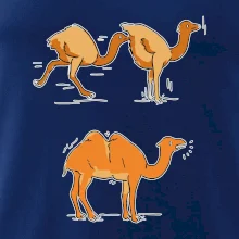 Pravda o velbloudech