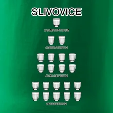 Slivovice počítání (Hana-creative) Slivovice počítání (Hana-creative)